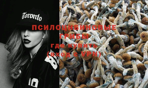 эйфоретик Баксан