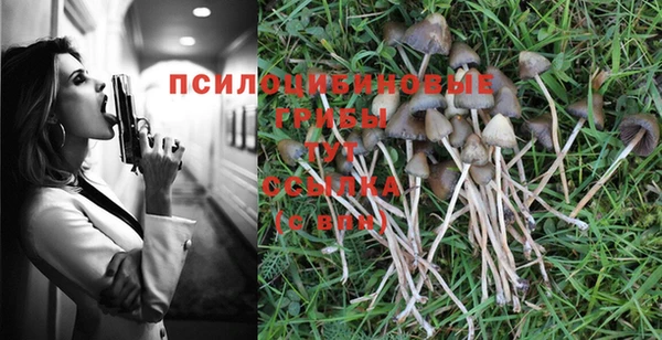 эйфоретик Баксан